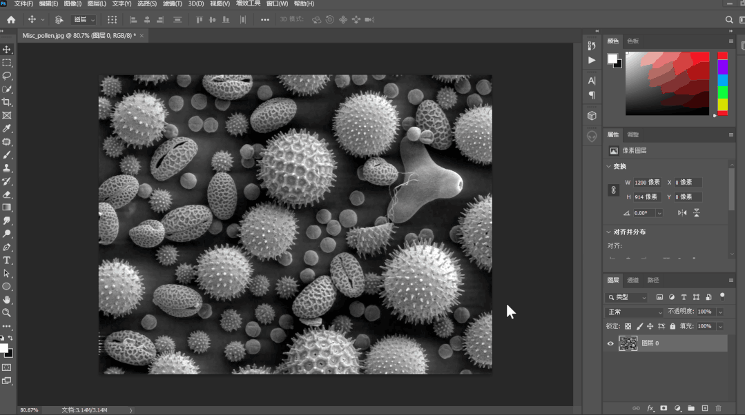 Photoshop 2023 (PS 2023) 中文直装版PS2024安装教程
