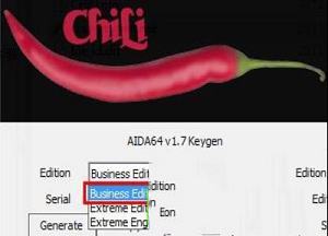 -AIDA64 Business企业版v6.00.5100绿色破解版(附注册机和教程)