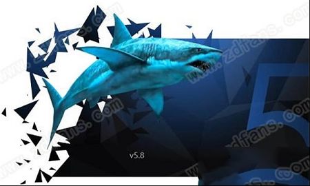 web漏洞扫描工具下载-Netsparker Prov5.8.1绿色破解版