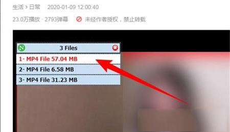 -Neat Download Manager(NDM下载器)v1.1汉化版