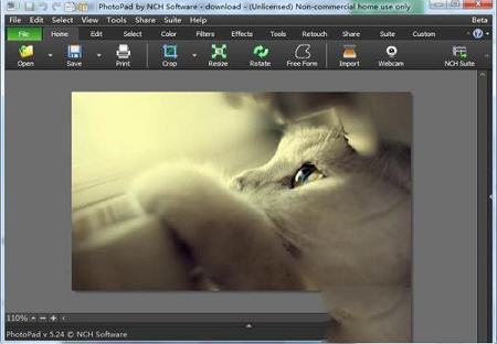 Windows图像编辑器下载-PhotoPad(图片编辑器)v6.10免费版