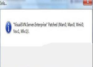 -VisualSVN Serverv4.1.0中文破解版(附注册机和教程)