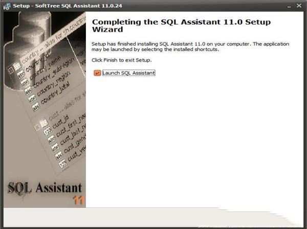 -SoftTree SQL Assistantv11.3.279破解版