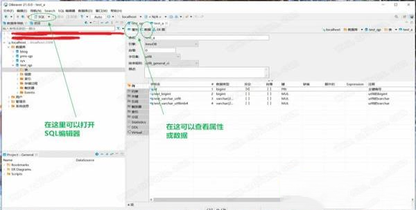 -DBeaver 21v21.1.2中文版