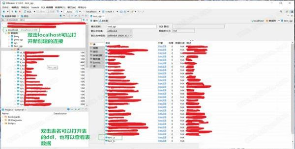 -DBeaver 21v21.1.2中文版