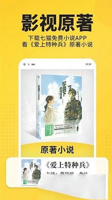 七猫免费阅读小说电脑版
