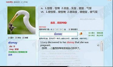 迈西背单词软件破解版下载-迈西背单词v6.8.4.2破解版(附激活码)