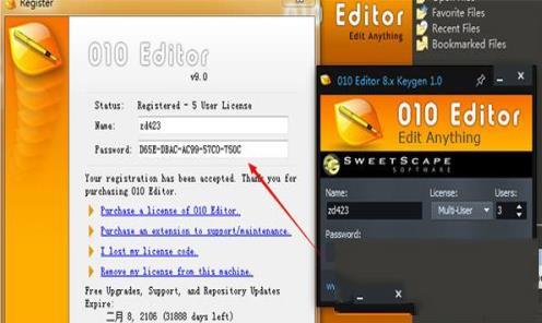 -010 Editor(十六进制编辑器)v9.0汉化破解版