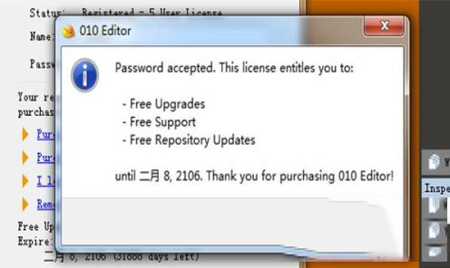 -010 Editor(十六进制编辑器)v9.0汉化破解版