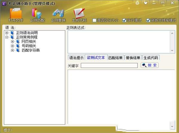 -E正则小助手V1.4绿色版