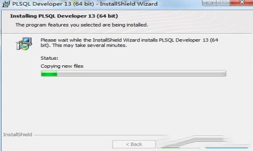-PLSQL Developer 13 汉化包