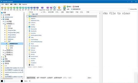Total XML Converte中文绿色便携版