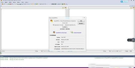 文件比较工具下载-ExamDiff Pro 10(文件比较工具)v10.0.1绿色中文版