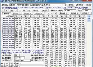 勇芳内存数据分析编辑器