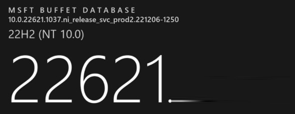KB5021304补丁下载-Win11 KB5021304离线补丁 官方版