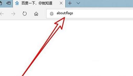 -Microsoft Edgev88.0.705.62增强版