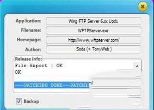 -Wing FTP Server(FTP服务器)v6.17中文特别版