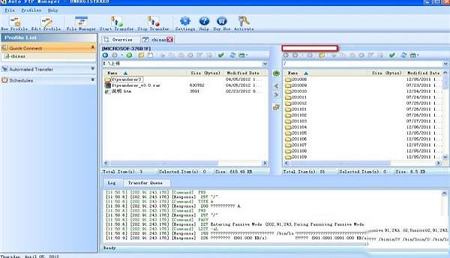 Auto FTP Manager破解版