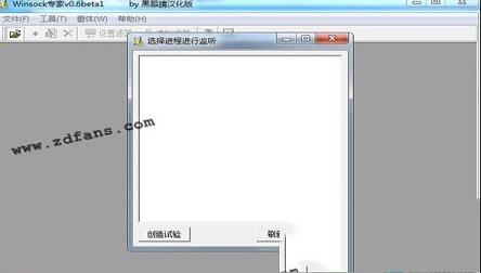 -Winsock专家(抓包工具)v0.6绿色版