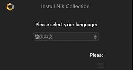 同名软件制作的破解补丁下载-Nik Collection 2021破解补丁