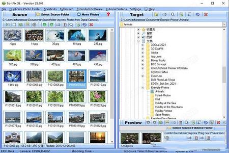 SortPix XL 22破解补丁下载-IN MEDIA KG SortPix XL 22中文破解版