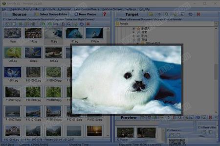 SortPix XL 22破解补丁下载-IN MEDIA KG SortPix XL 22中文破解版