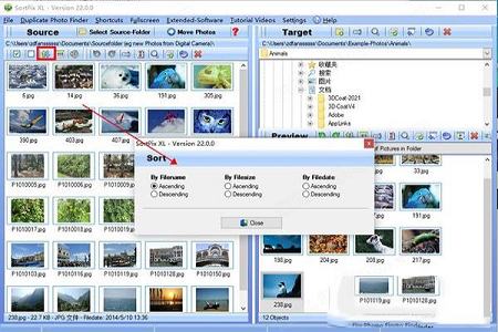 SortPix XL 22破解补丁下载-IN MEDIA KG SortPix XL 22中文破解版
