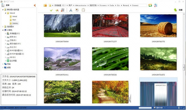 格式工厂电脑破解版