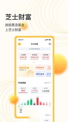 芝士财富pc版下载-芝士财富v1.0电脑版