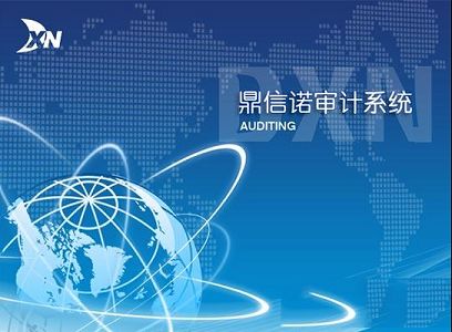 鼎信诺审计系统5000
