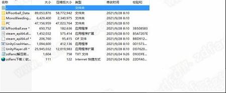 功夫足球队长Steam汉化免费版下载-功夫足球队长v1.0中文版