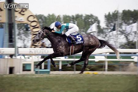 (Winning Post 9) 2021PC免安装版下载-赛马大亨9中文破解版