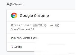-GreenChrome(谷歌浏览器增强工具)v6.6.6便携版