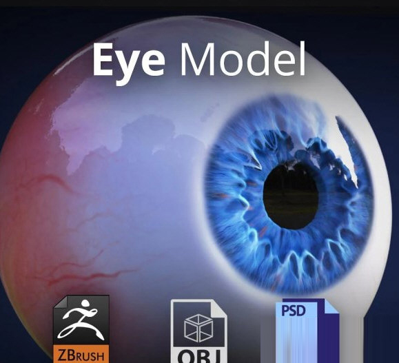 Model下载-3D Eye Model(眼球3D模型) V1.0 免费版