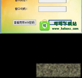 星号密码查看器绿色版