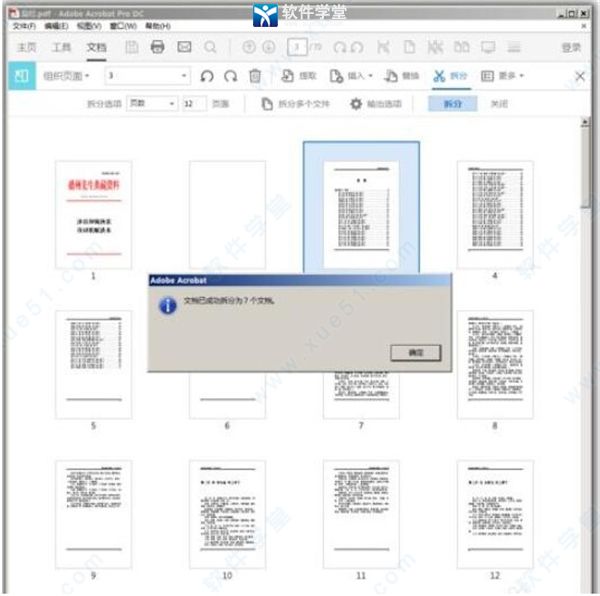 adobe acrobat pro dc2022完美激活版下载-adobe acrobat pro dc2022中文破解版