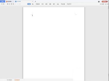 WPS Office 2021下载-WPS Office 2021v11.1教育考试专用版