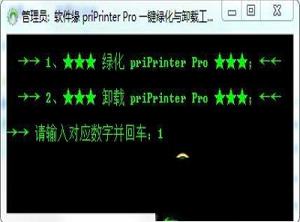 虚拟打印机下载-priPrinter Pro(虚拟打印机)v6.5.0.2466中文绿色版