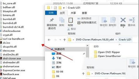 -DVD-Cloner Platinum 2021v18.20.1463破解版