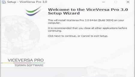 -ViceVersa Pro 3中文破解版