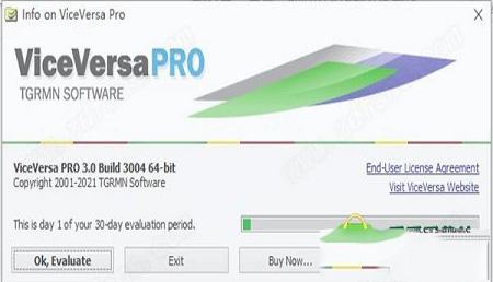 -ViceVersa Pro 3中文破解版