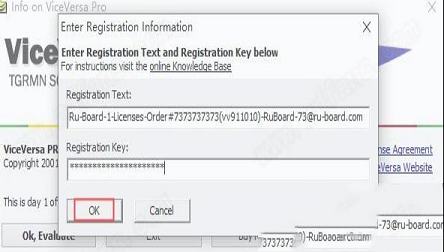 -ViceVersa Pro 3中文破解版