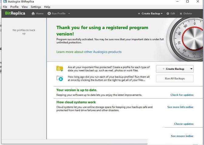 -Auslogics BitReplicav2.4.0绿色免费版