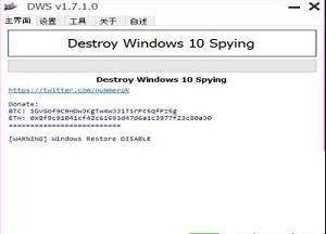 -DWS(Win10间谍杀手)v2.2.2.2 最新正式版