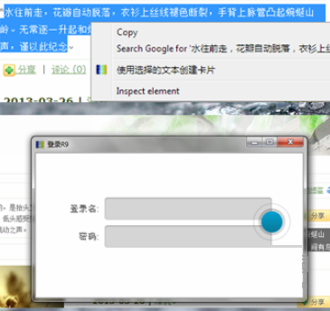 R9终身学习插件