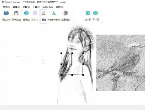 Sketch Drawer