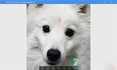 图片查看工具下载-时光印记v1.0.7免费版