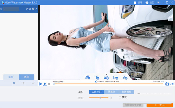 Video Watermark Master