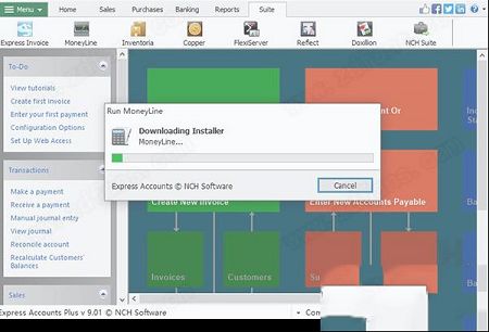 NCH Express Accounts Plus 9破解补丁下载-NCH Express Accounts Plus 9中文破解版