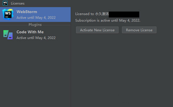 Webstorm2022中文永久破解激活版
